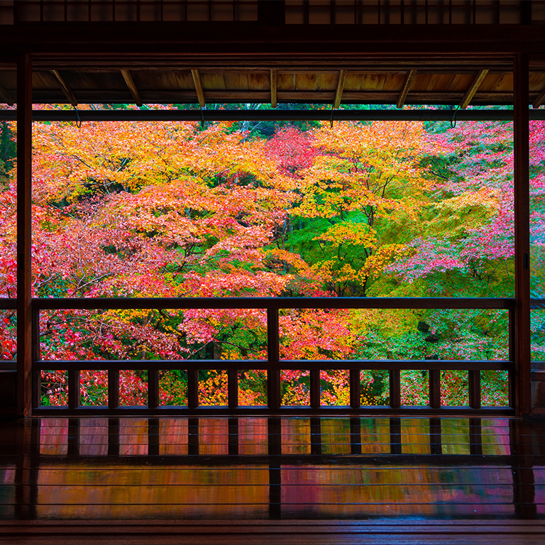 京都の特徴